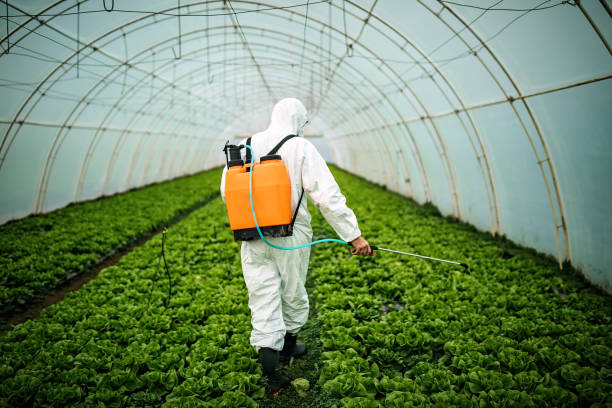 Pest Control Cost in Bithlo, FL