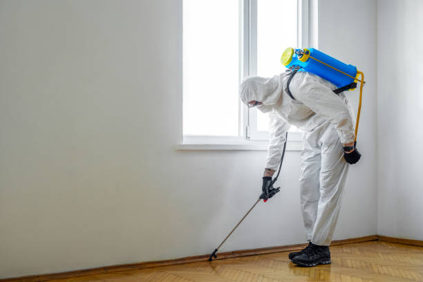 Wildlife Control Services in Bithlo, FL