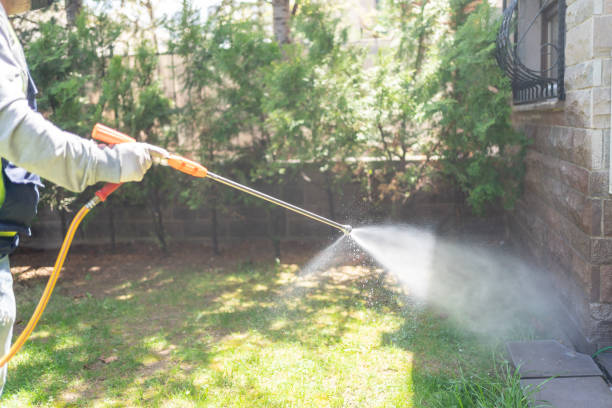 Best Best Pest Control Companies  in Bithlo, FL